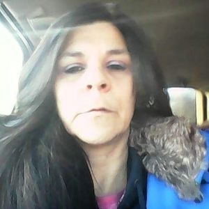 Meet your Posher, Karin